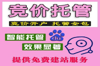 竞价SEM托管成功案例盘点